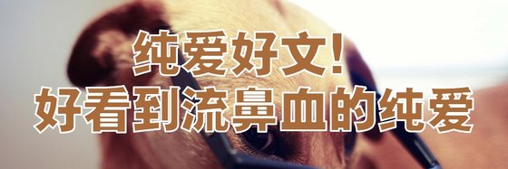純愛好文！好看到流鼻血的純愛