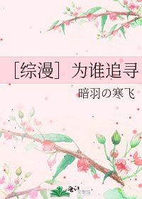 ［綜漫］為誰追尋